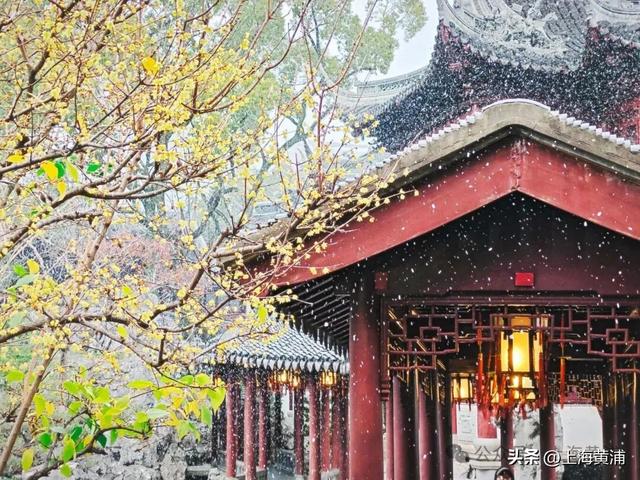 雪落豫园，绘就江南诗意画卷