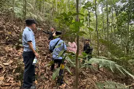 走失6天6夜，广西8岁男孩在密林中被找到！图片