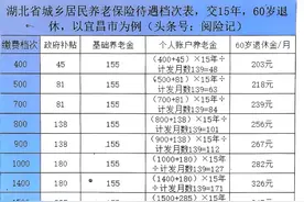 2024年湖北省居民养老保险档次及收益一览表，最新版图片