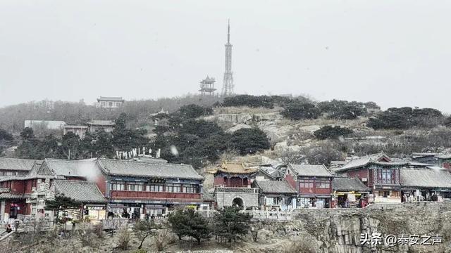 泰山今冬首场降雪，把千年名山裹成诗意画卷！