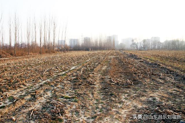 这一次外出闲游感慨颇多