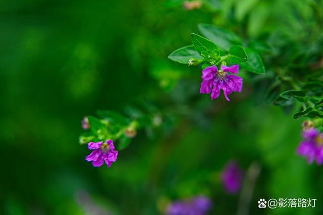 情感爆文：爱是信任，不是占有，是心心念念的彼此牵挂