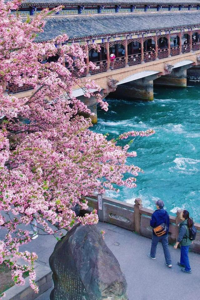 山色、水色，春日都江堰处处是绝色！