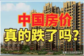 谢逸枫：2025年中国房价将暴跌25%？这只是空想图片
