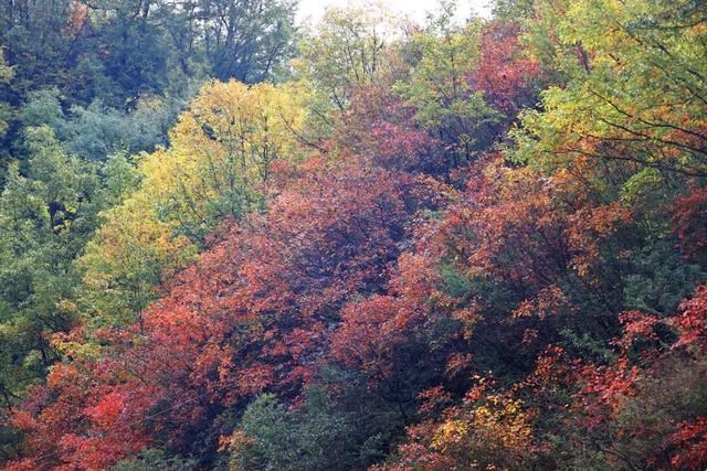 让我再看你一眼🧡