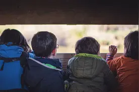 科学家发现“大器晚成”的依据：普通家庭千万别过早消耗孩子元气图片