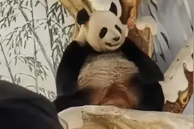 暖暖恨马来西亚奶爸“抛弃”她，如今相见心灰意冷，奶爸满脸尴尬图片