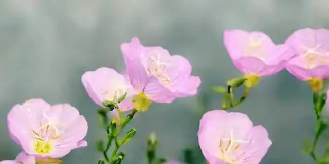 撩得女人荷尔蒙爆发的肉麻情话，有这10句。