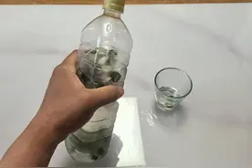 “秋葵泡水”，是“健康妙招”还是“养生陷阱”图片