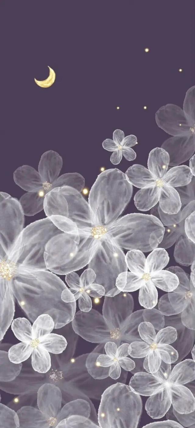 " 巨好看的手机壁纸 "40张