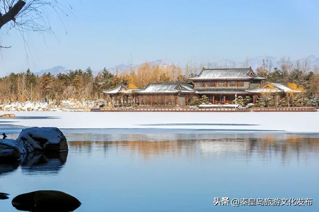 别眨眼！秦皇岛春雪的绝美瞬间，这些实拍图太惊艳了