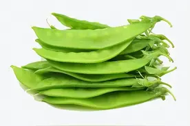 荷兰豆种植技术：掌握这几点，结荚率高，产量高图片