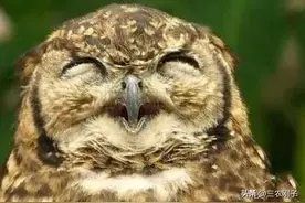 农村俗语“一怕夜猫进宅，二怕房屋背水，三怕坟生土堆”，啥意思图片