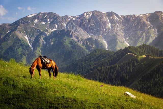 草原花海,塞外江南——超全新疆伊犁旅游攻略
