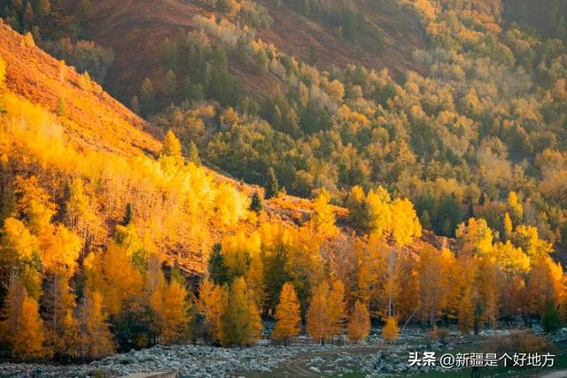 秋季的阿禾公路，你走过了吗？