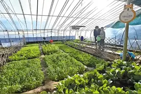 小规模家庭农场盈利模式设计图片