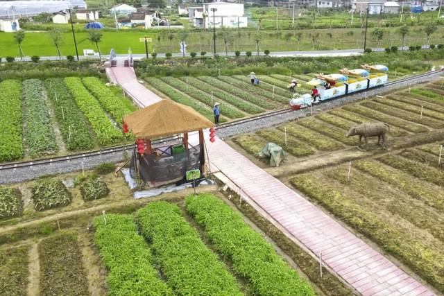 免票、打折……肇庆超多福利来袭！速看→