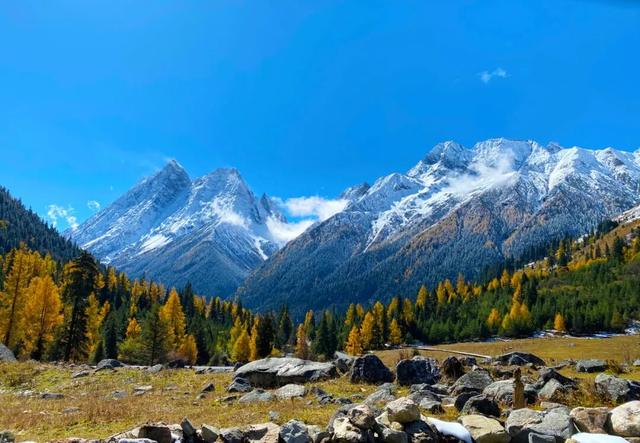 怦然心动！是四姑娘山的秋啊！