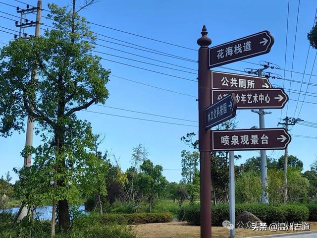 浙南最大的乡镇湿地公园原来在这里！