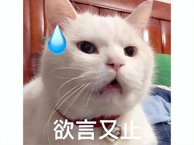 没有原神命，得了原神病！韩国人开发了7年的缝合怪，口碑崩了！