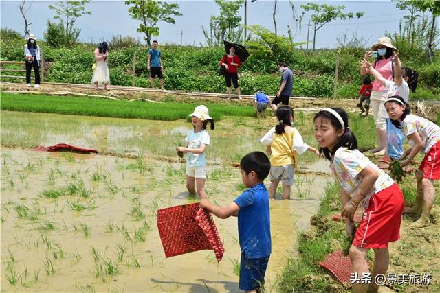 五一假期去哪儿？佛山紫南首届农耕文化节邀您共赴田园之约