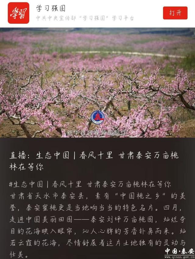 【2026秦安桃花会】新华社、学习强国等多平台聚焦秦安 万亩桃园绽放云端春色