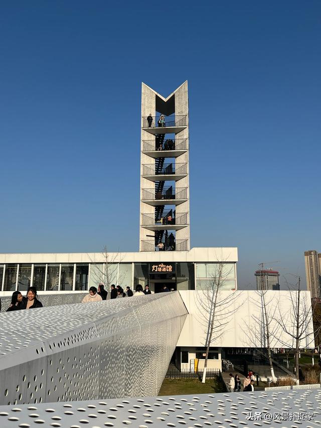 南昌鱼尾洲公园，红杉慢慢变红！