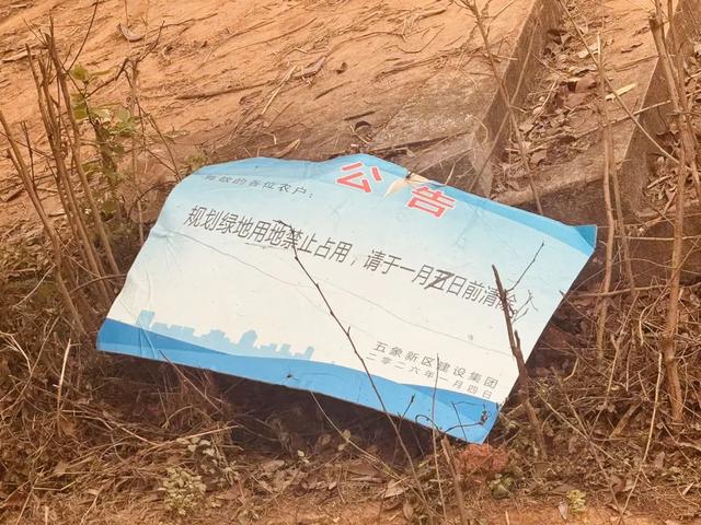 五象湖「最强景观」火了,公告成了废纸