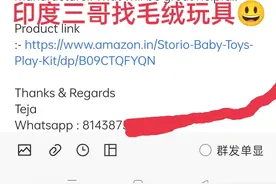 外贸那点事: 印度三哥找我买毛绒玩具，我开出条件他就跑图片