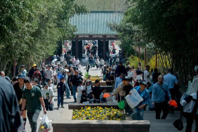 212.93万人次！入列十大热门城市！