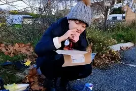 中国美女留学生在挪威捡垃圾，捡一次吃一周，直呼：根本吃不完图片