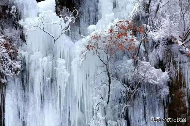 冬日限定！乘火车出发，这个地方好吃又好玩