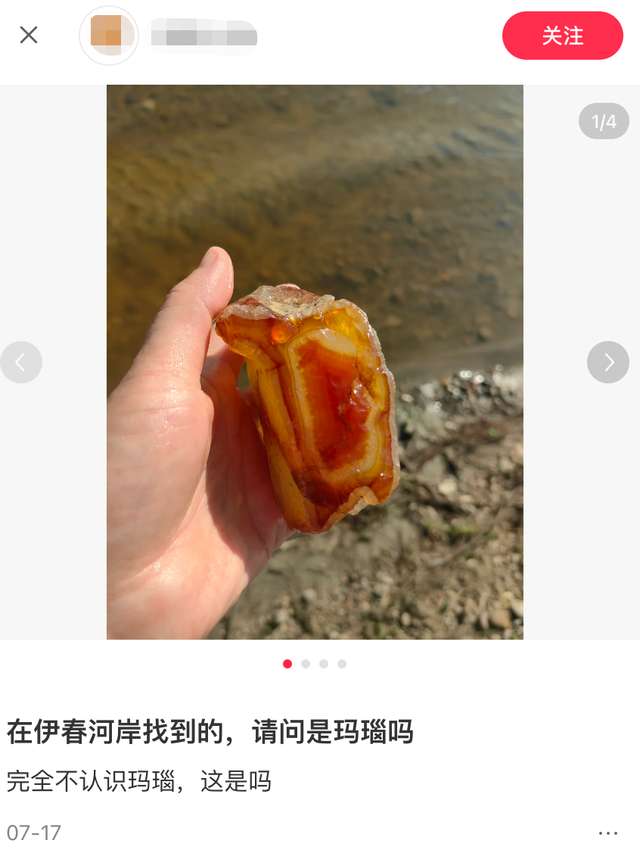 有多少年轻人自驾到伊春后被鹿揍过