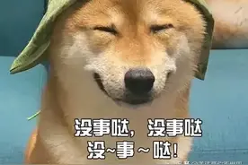 让你笑掉大牙的歇后语看了后心情会大好的信不信由你笑声决定图片