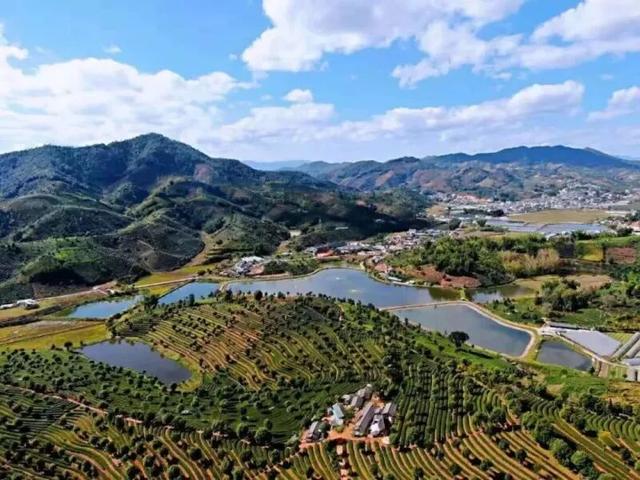 倒计时7天！解锁2025普洱茶咖博览会的N种宝藏玩法