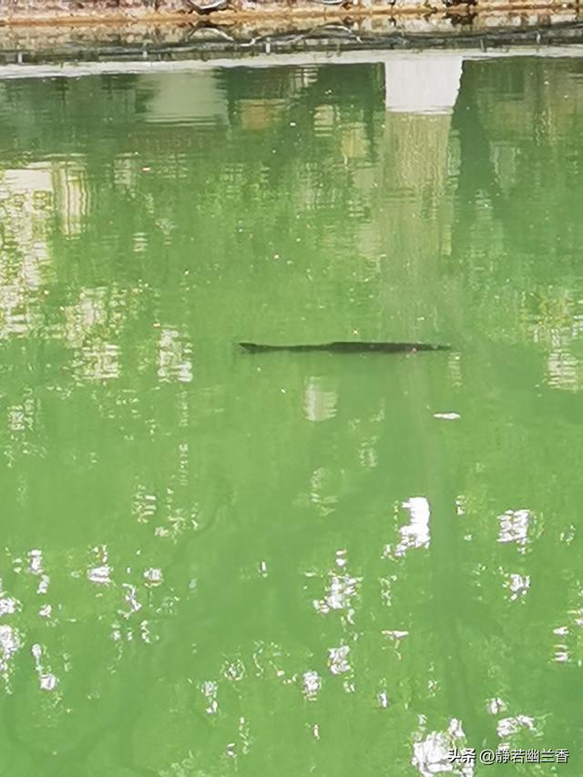 拥抱春天的绿水青山