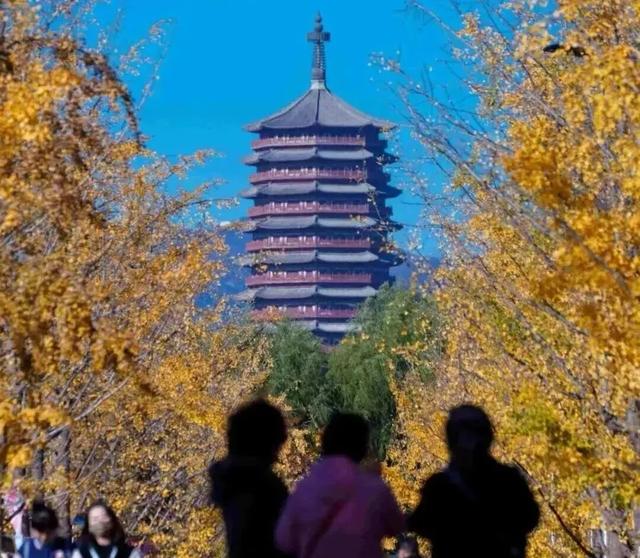 想要赏秋？来丰台就对啦——
