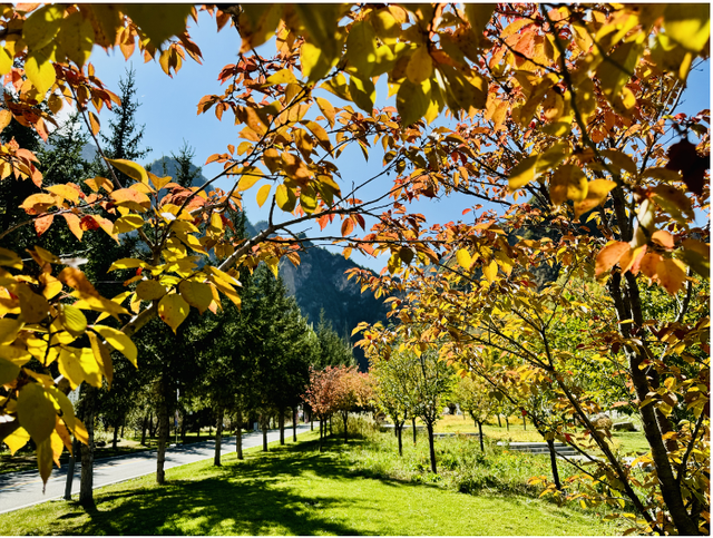 这么好看，不愧是遮阳山的秋天！