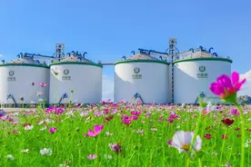 粮食的守护者：中储粮，我们的定海神针图片