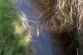 水源检出有机氟化物超标 日本千叶县政府公布调查结果图片