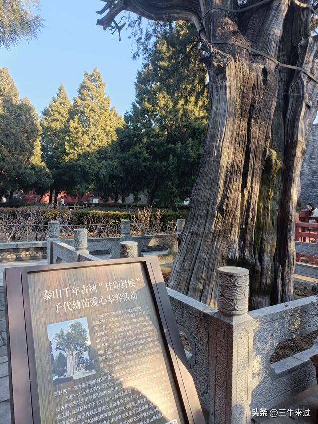 无为在歧路，二十四登泰山2