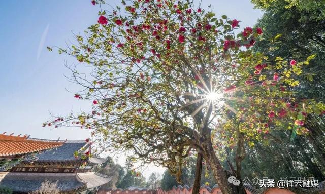 旅居祥云 | 灵山圣境，天地交响