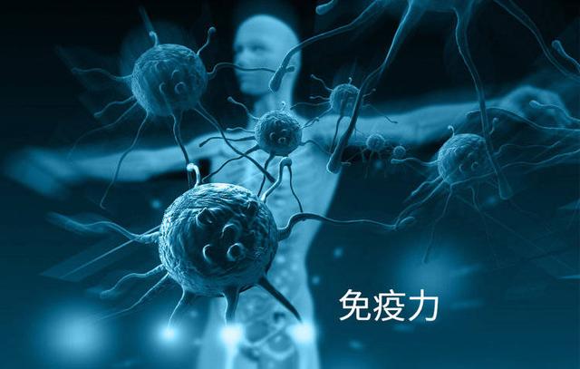 甲流死亡人数持续上涨？张文宏建议：少吃鸡肉，多喝几样增强免疫