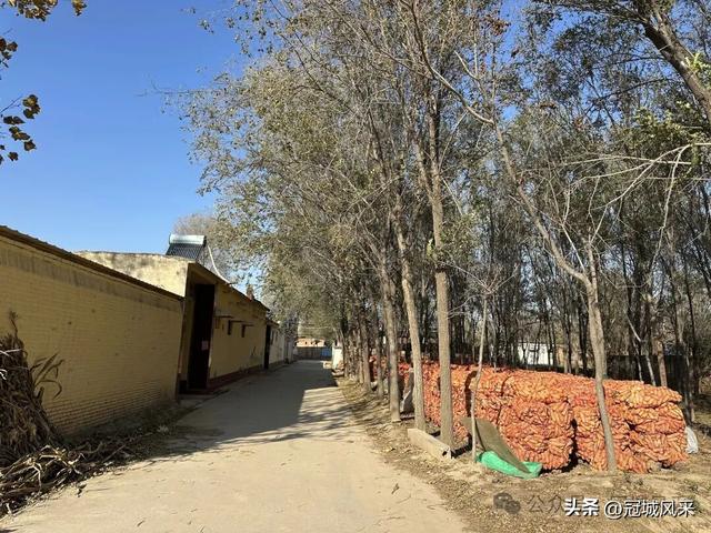 冠县乡韵·贾镇岑庄