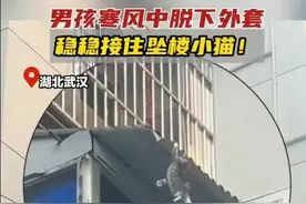 惊险！武汉男孩脱衣救下坠楼小猫，主人却将其接走，真相令人震惊图片