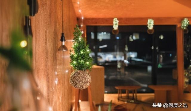 WOW波尔图文化区闪耀圣诞季