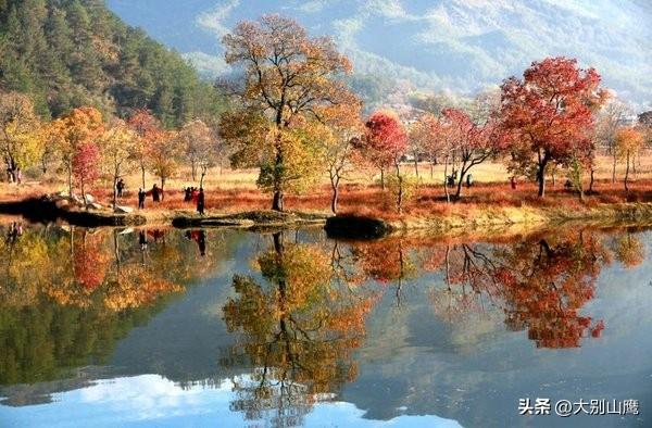 红叶映罗田，秋景不一般