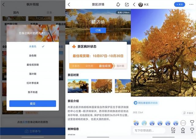 寻枫有指南,墨迹天气“枫叶预报”助你轻松赏秋