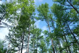 想当警察，郑州警察学院和南京警察学院，选择哪个更好呢？图片