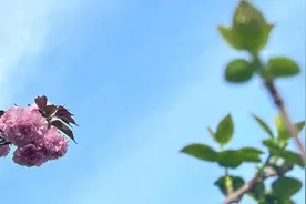 3种反常行为，是男人和婚外的女人睡过了，一看便知图片